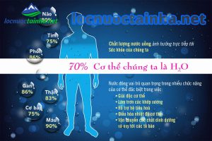 Lợi ích của nước sạch với cơ thể