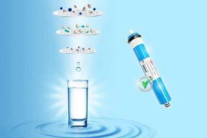 Bán Lõi Lọc Nước Ở Đâu Biên Hòa Giá Tốt