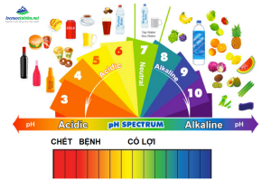 thang đo độ ph trong nước uống